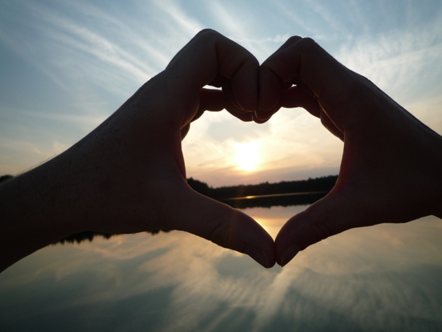 Love Wellness Products: Complete Shopping Guide and Retail Locations