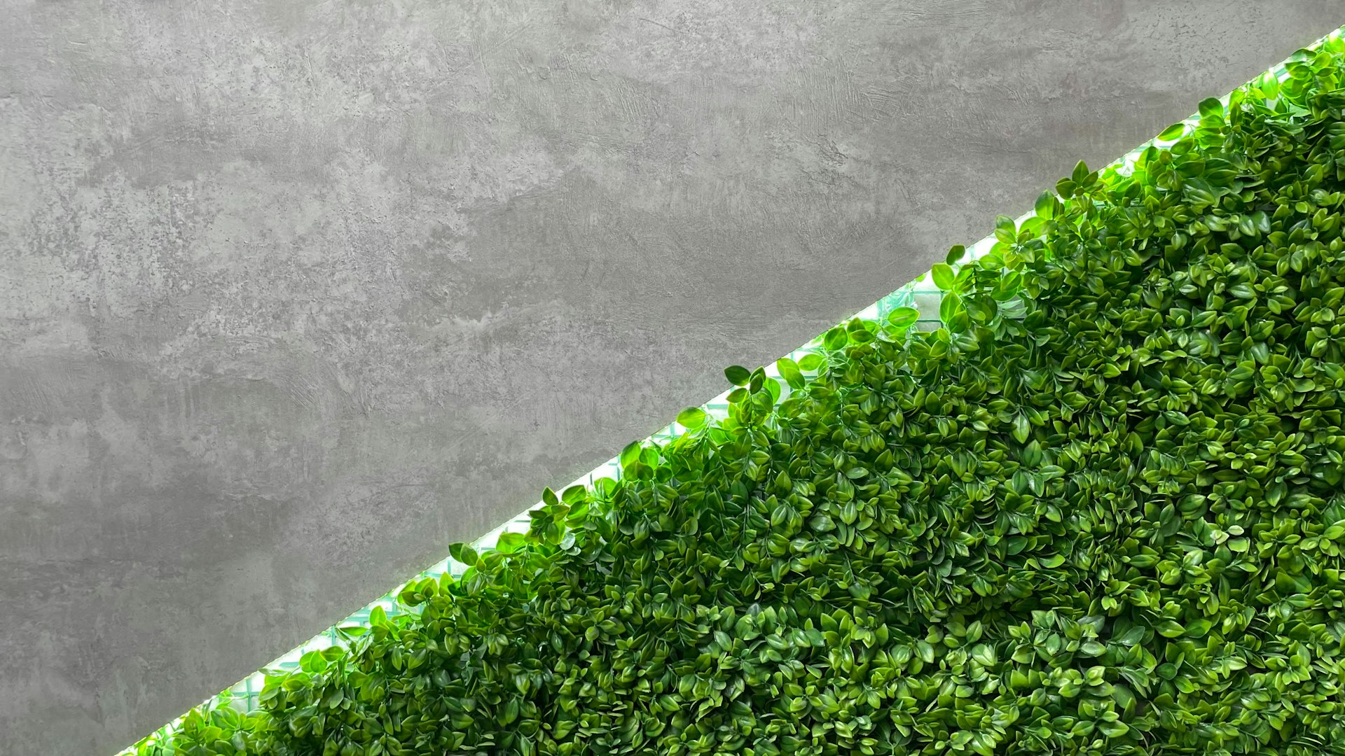 Unlock Your Future: High-Growth Careers in Green Technology