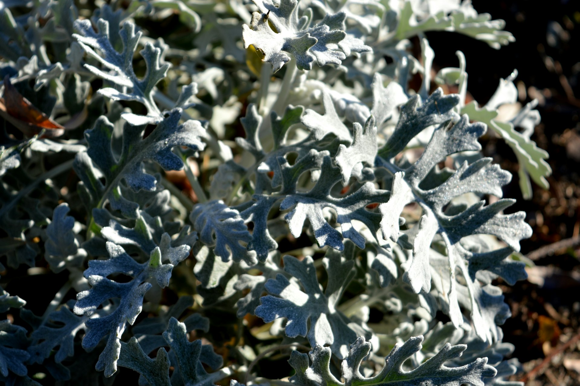 Building Portfolio Resilience: Hedging Inflation with Precious Metals