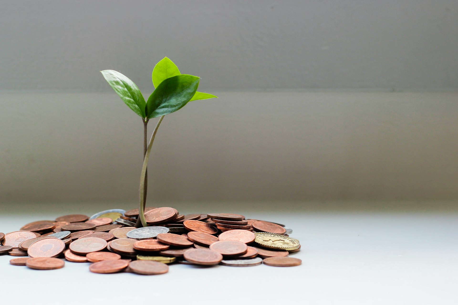 Micro Investing for Beginners: How to Start Small and Build Wealth Over Time