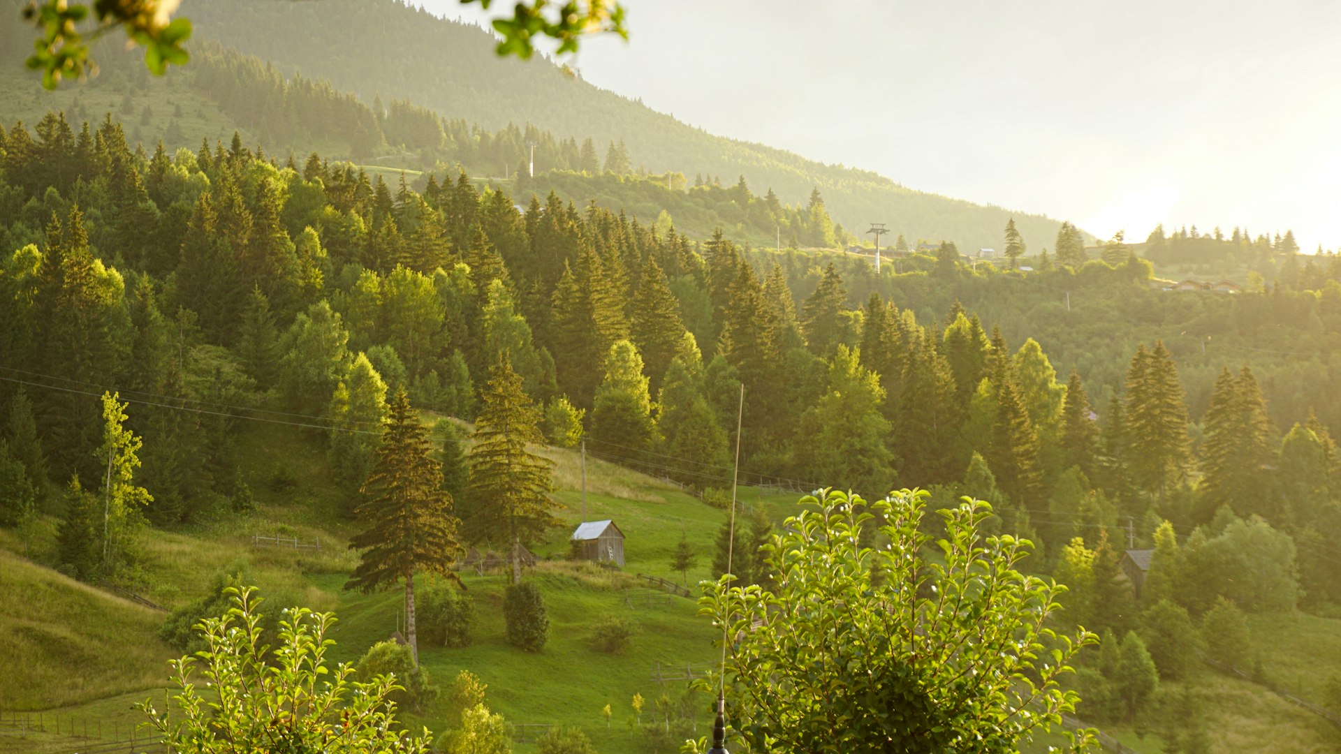 Empowering Game Studios with Sustainable Development: Strategies, Challenges, and Opportunities