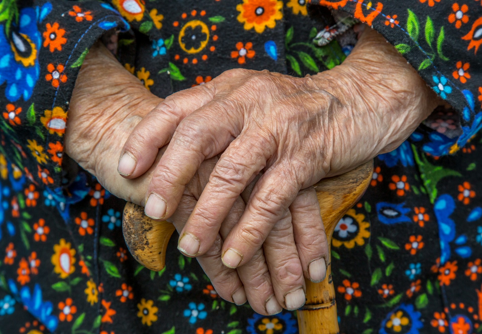 How Social Connections Shape Your Lifespan: Proven Strategies to Boost Longevity