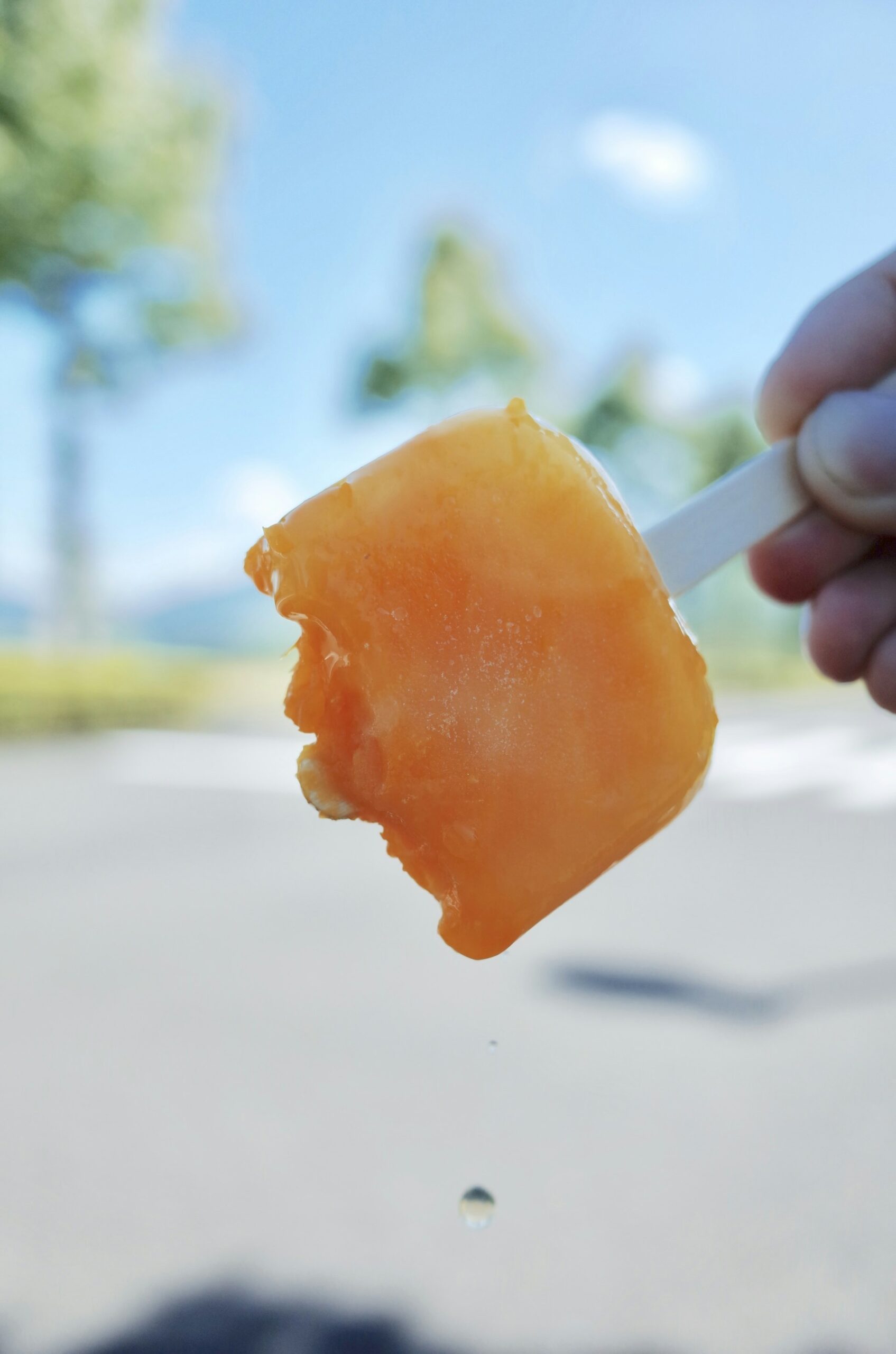 Understanding the Legal Status of Edibles in Florida: What Residents and Visitors Need to Know