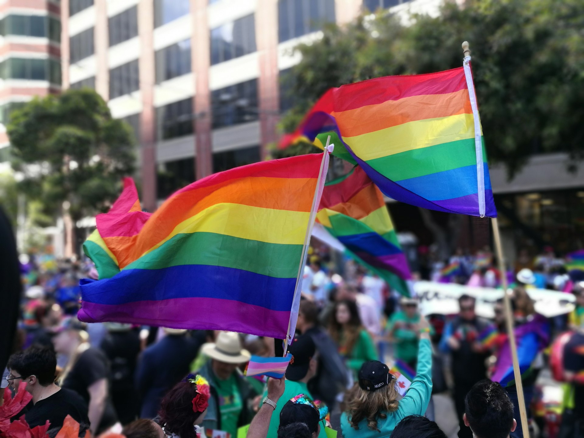 Understanding Legal Same-Sex Marriage in Florida: Rights, Access, and Guidance