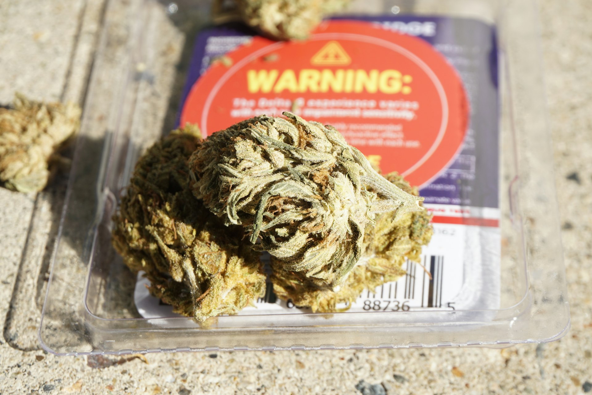 Understanding Cannabis Laws in North Carolina: Your Guide to the Current Legal Status, Penalties, and Reform Efforts