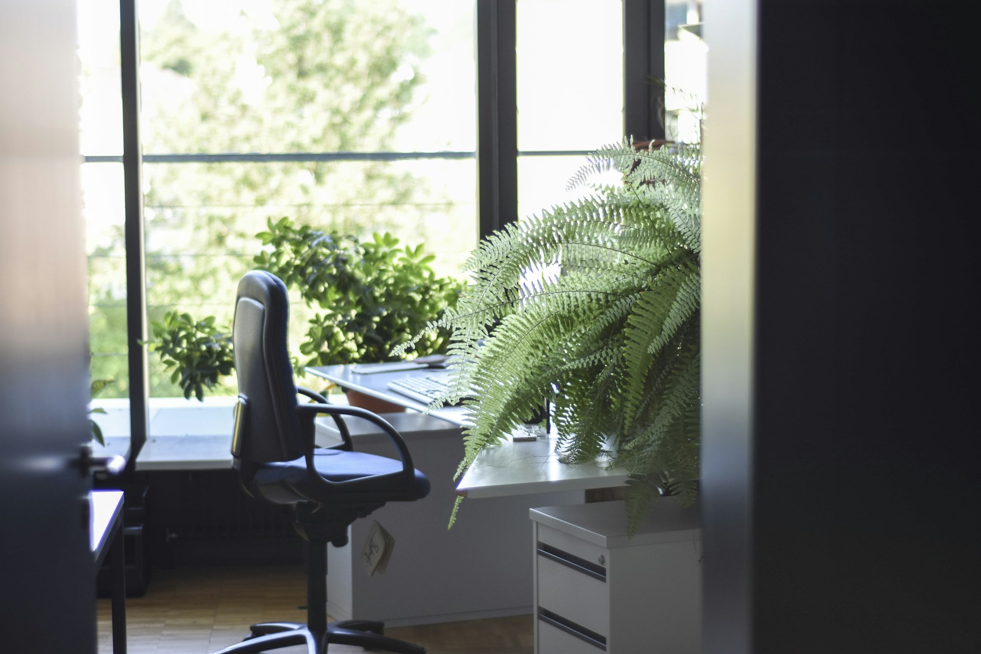Effective Strategies to Improve Wellness in the Workplace