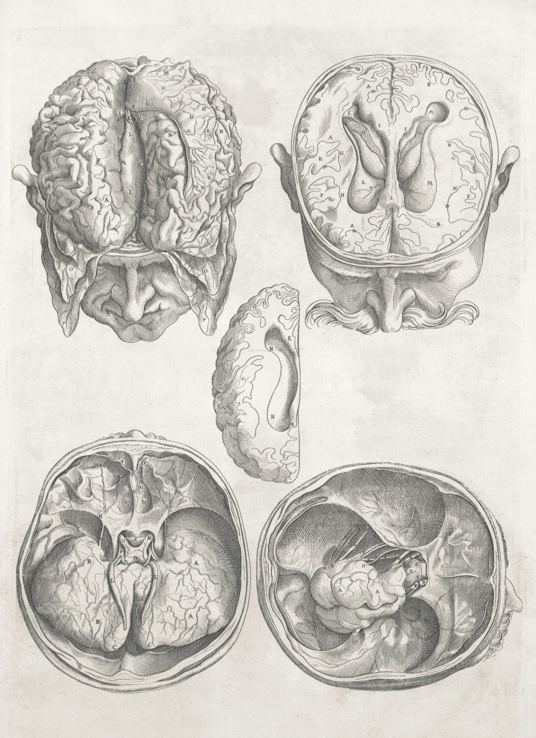 Simple Daily Practices to Support Your Nervous System's Balance