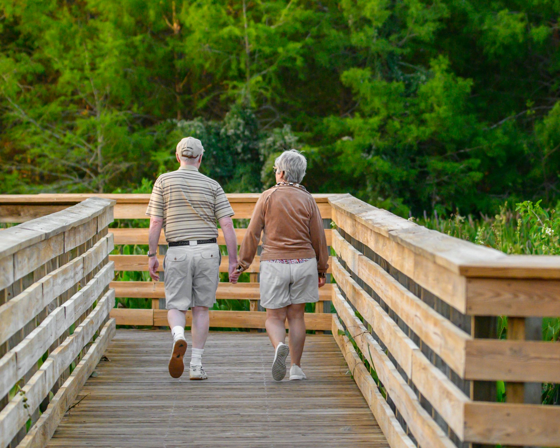 Cultivating Daily Practices for Vibrant, Sustained Aging