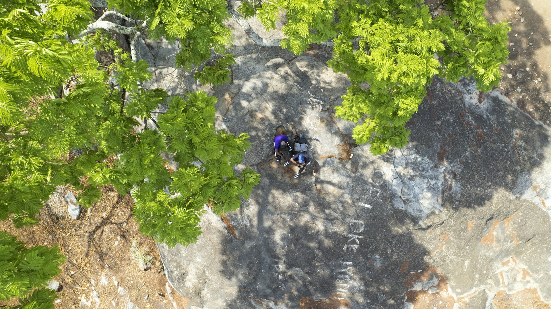 The Heartbeat of Shared Survival: Inside Player-Led Game Worlds